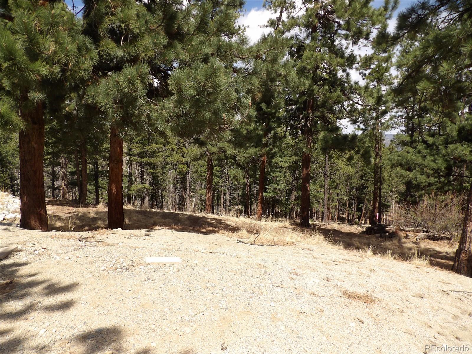 16525 Mt. Princeton Road