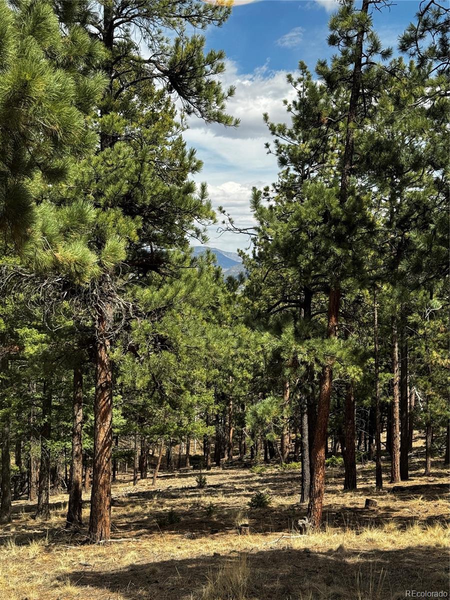 16525 Mt. Princeton Road