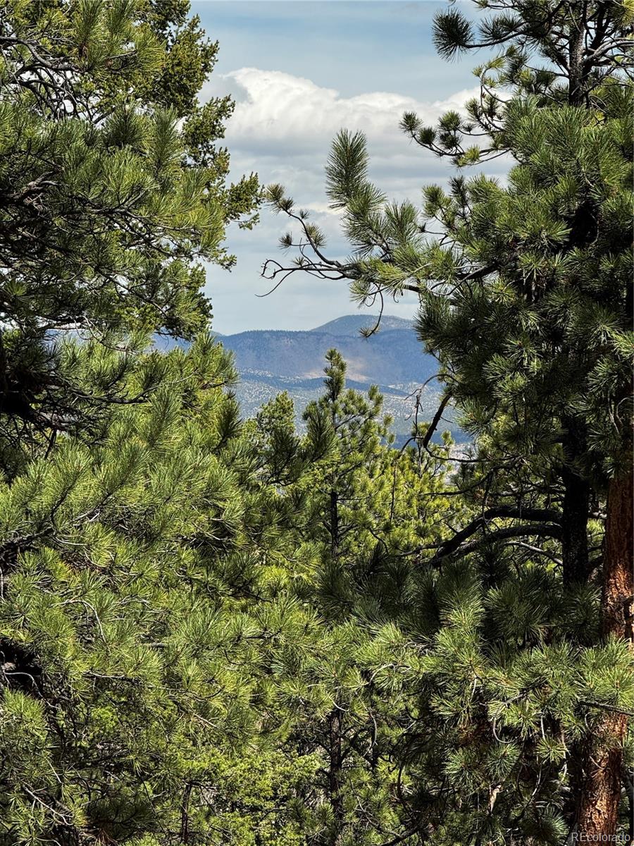 16525 Mt. Princeton Road