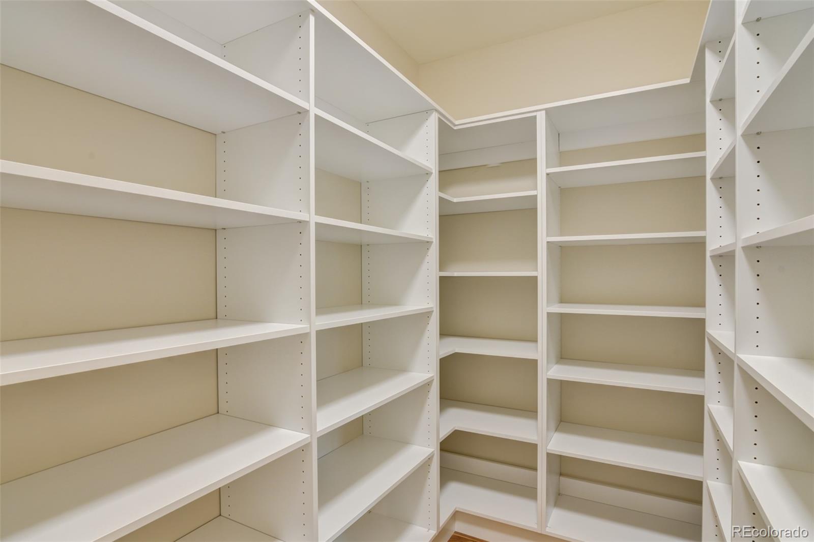 15611 Paintbrush Street