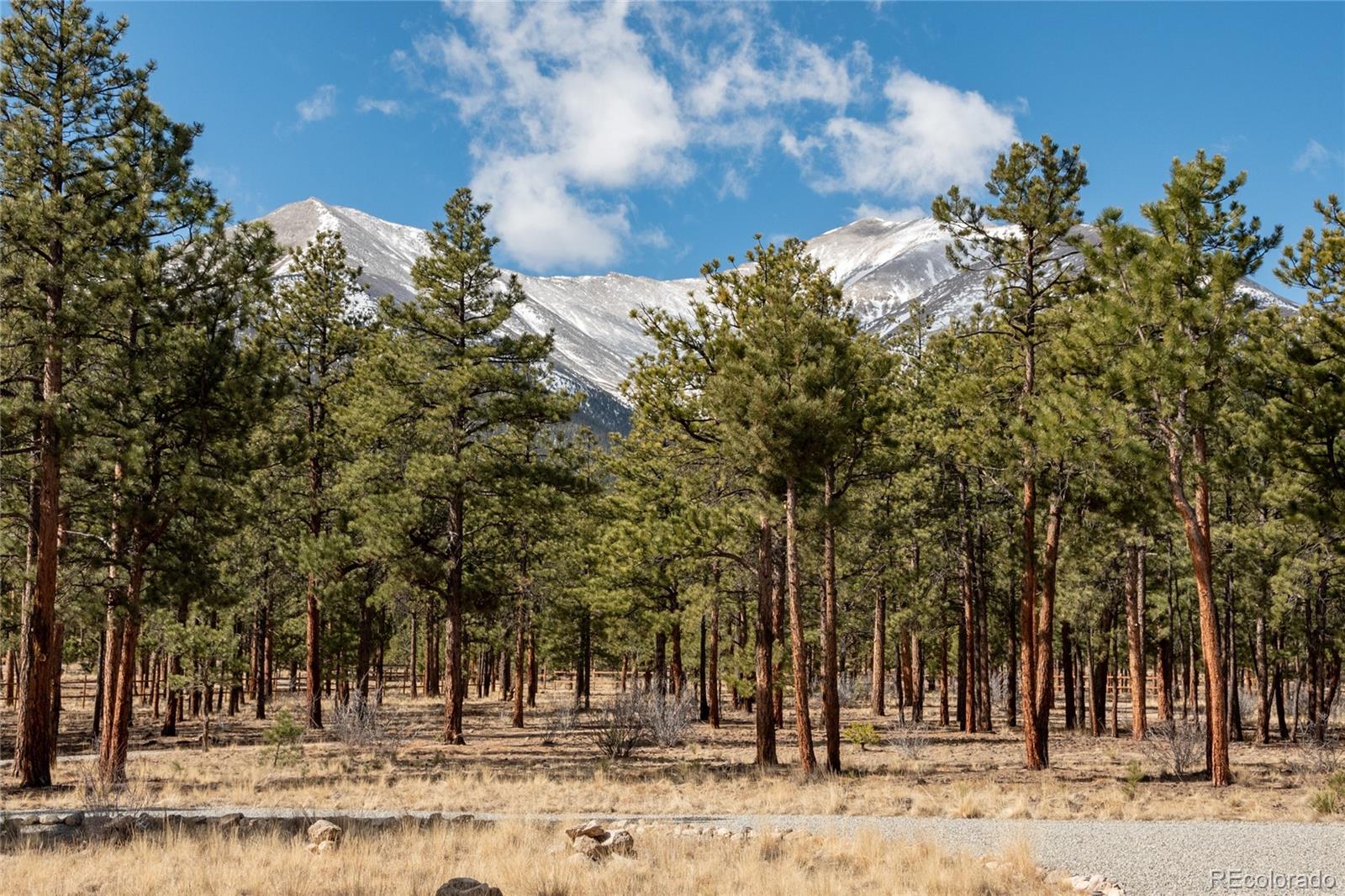 16205 County Road 327