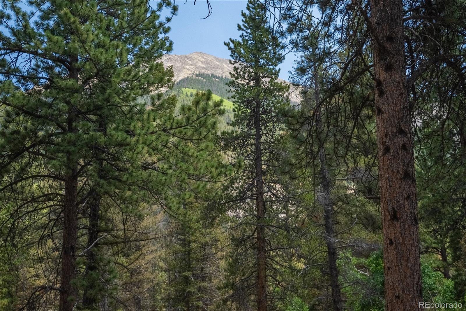 22145 County Road 292