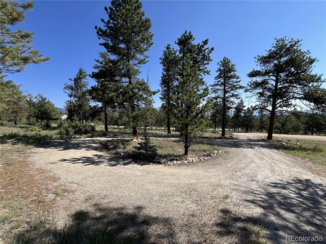 30642 Buck Brush Bend