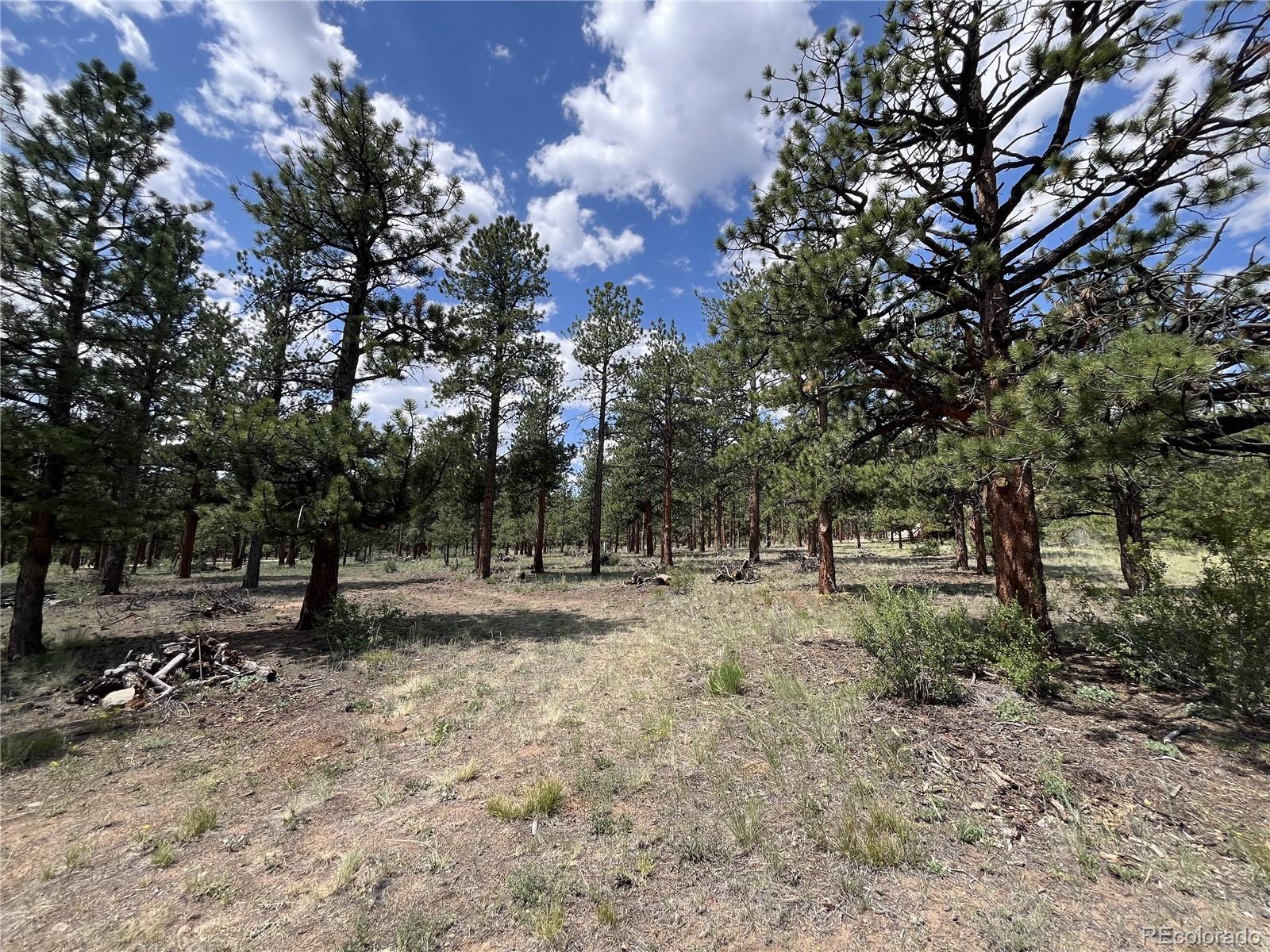 18335 Ponderosa Lane