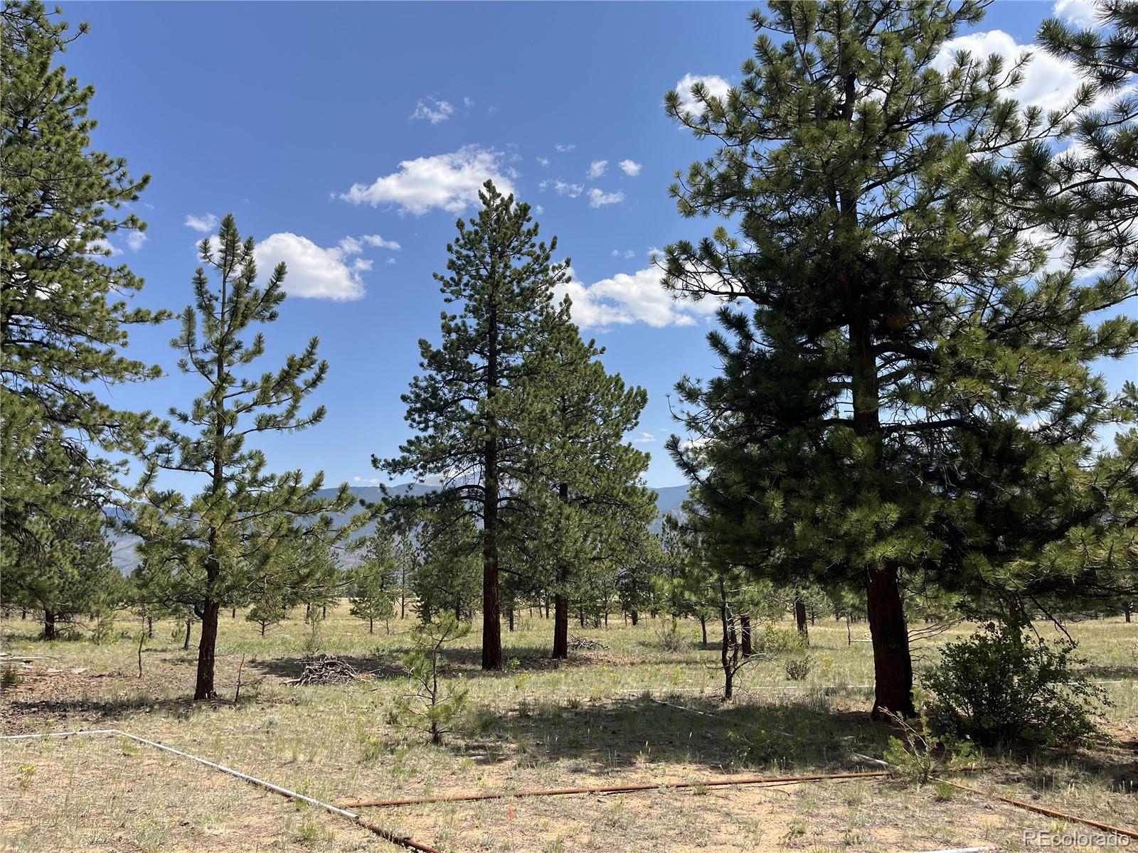 18335 Ponderosa Lane