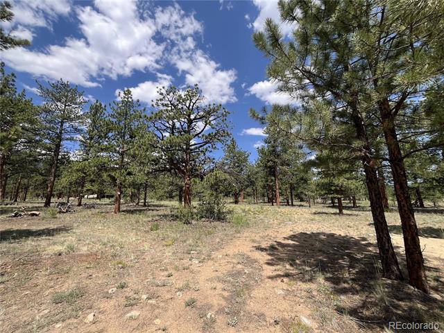 18335 Ponderosa Lane