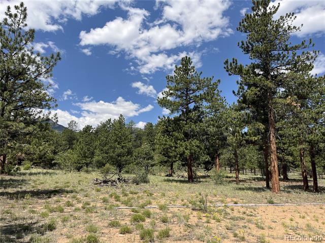 18335 Ponderosa Lane