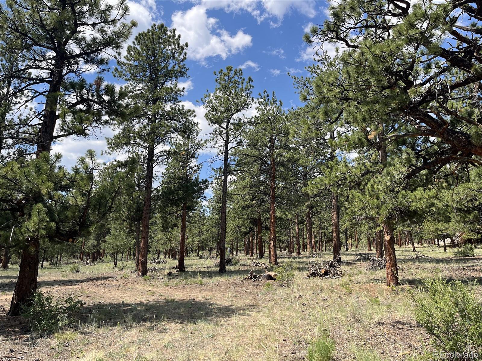 18335 Ponderosa Lane