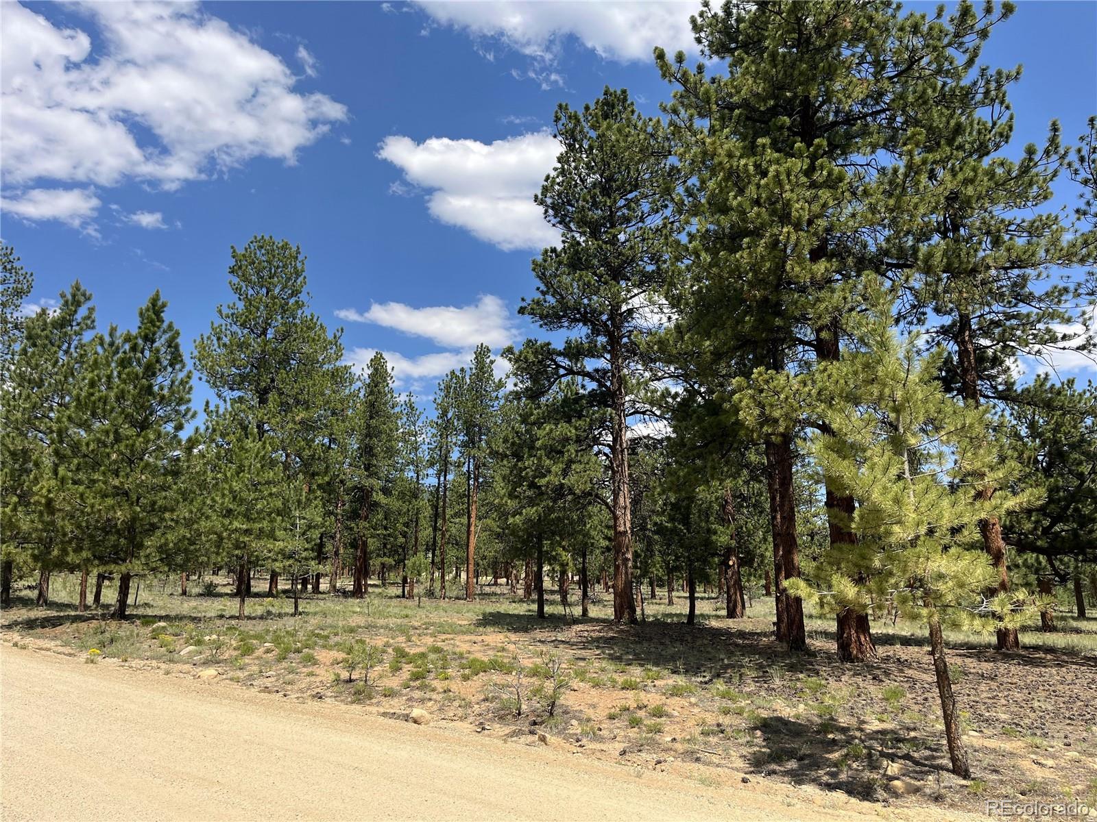 18335 Ponderosa Lane