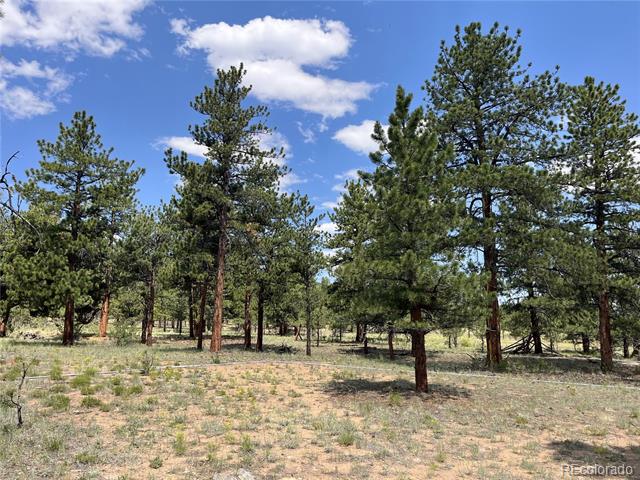 18335 Ponderosa Lane