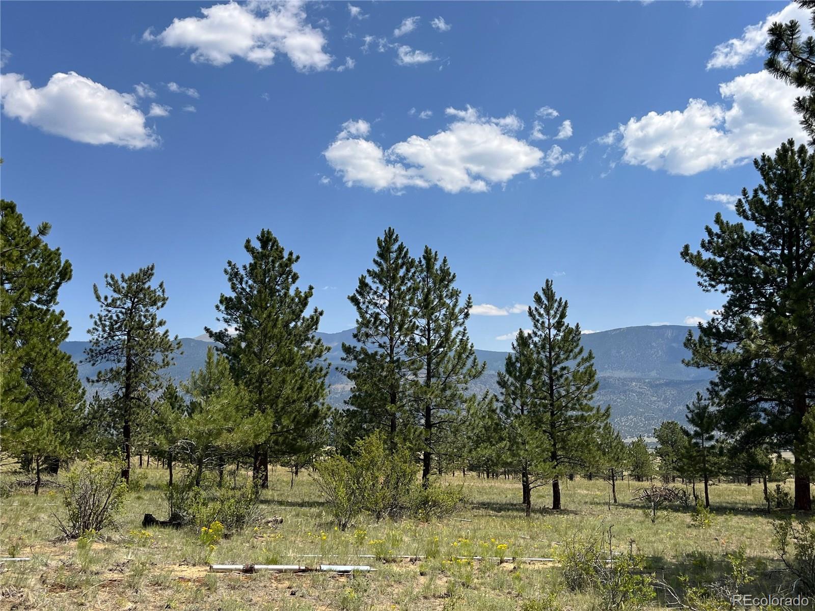 18335 Ponderosa Lane