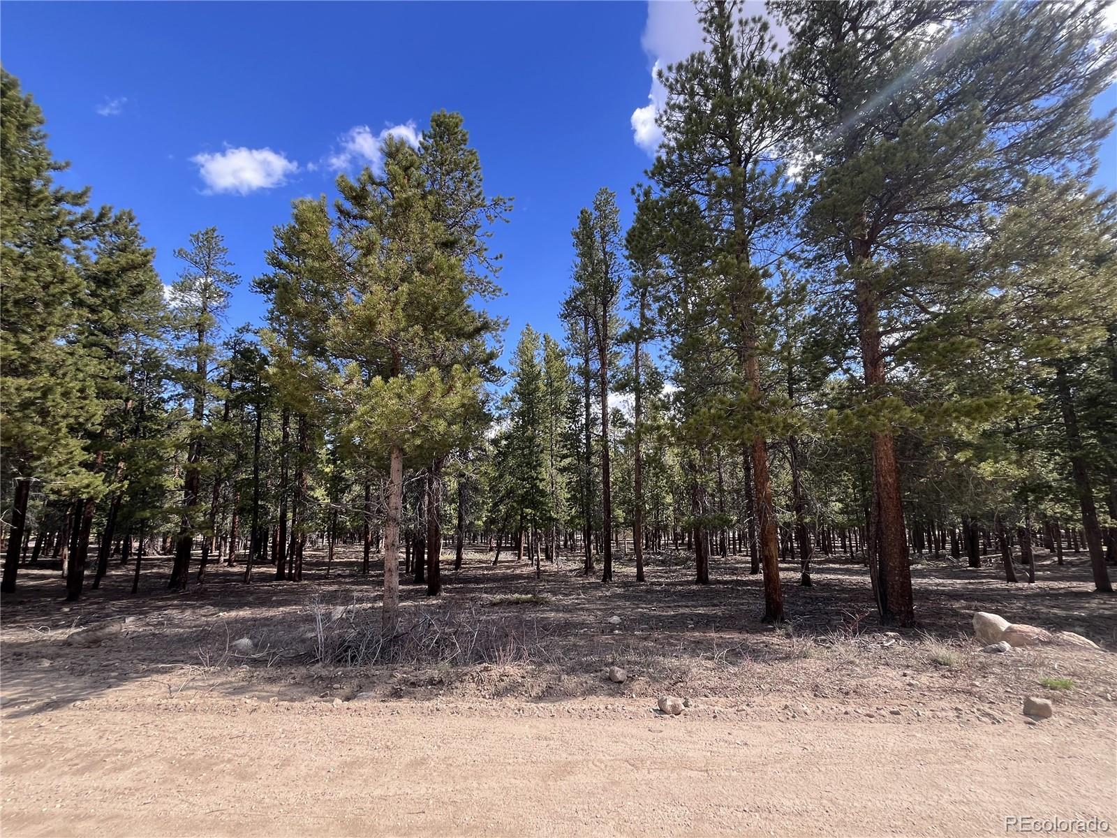 30336 National Forest Drive