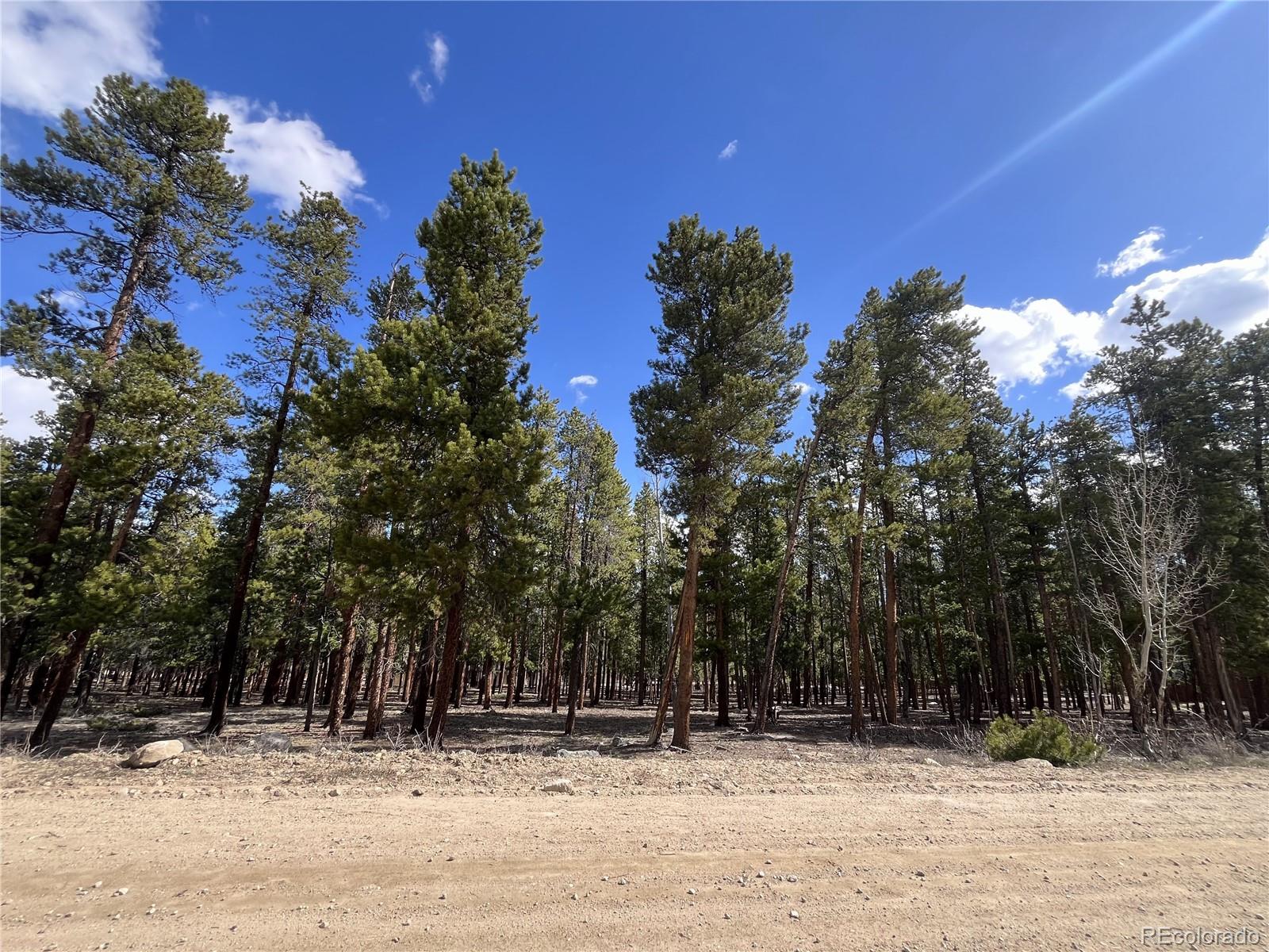 30336 National Forest Drive