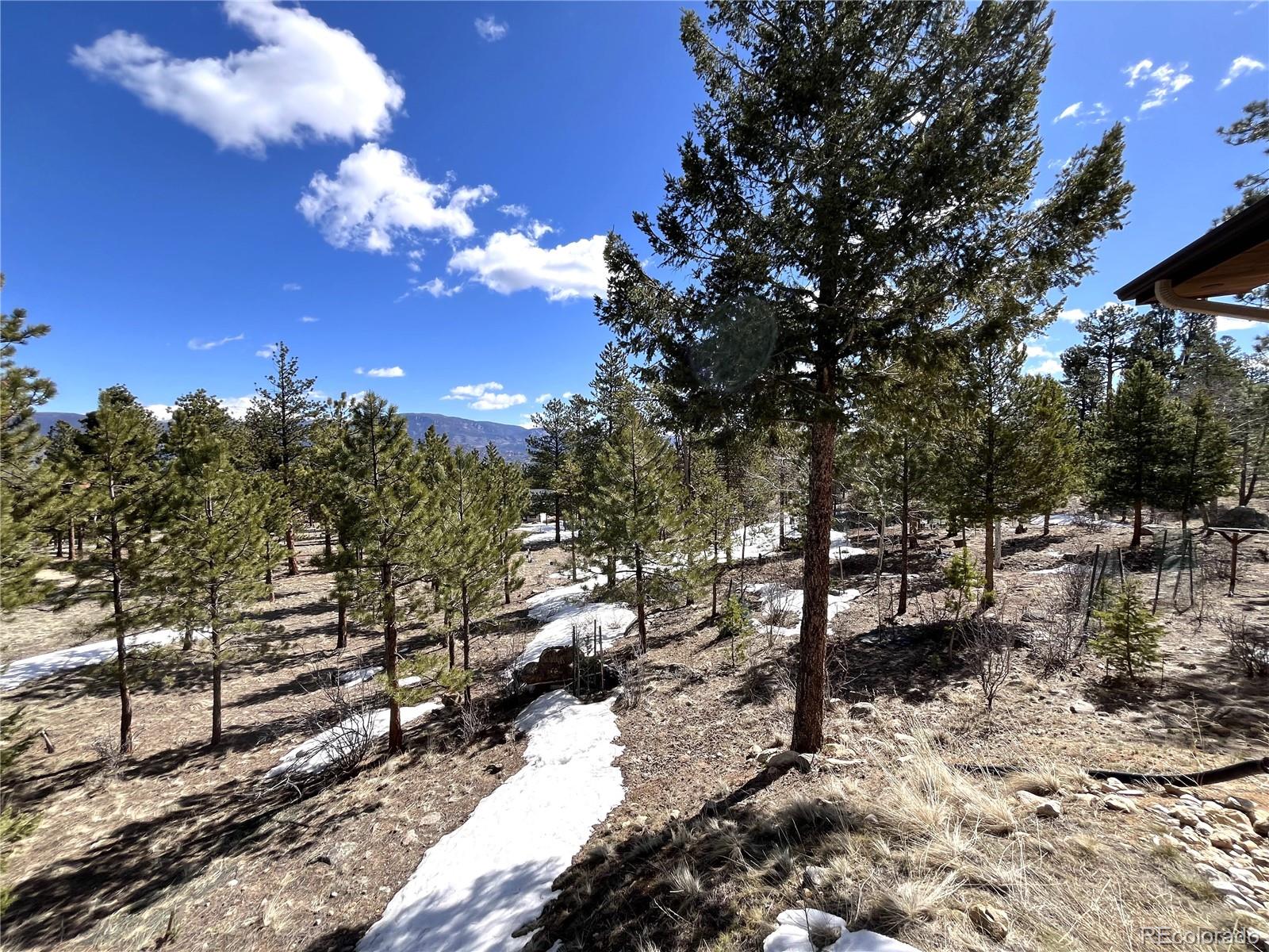 30537 Timberline Drive