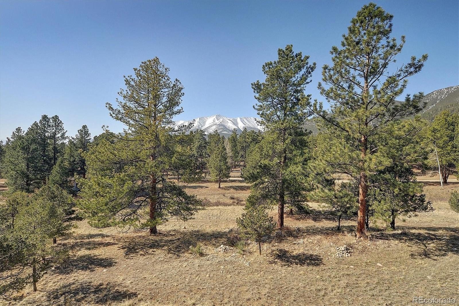 18202 Alta Vista Drive