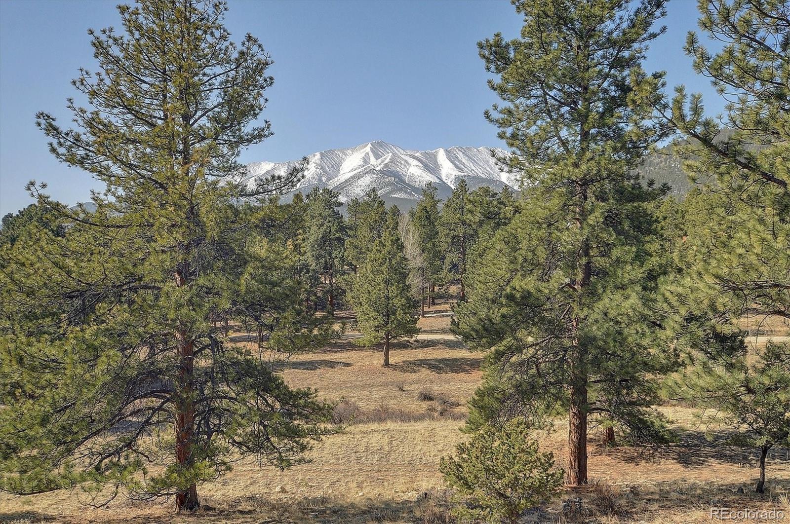 18202 Alta Vista Drive