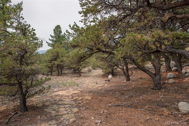 16090 Falcon Drive