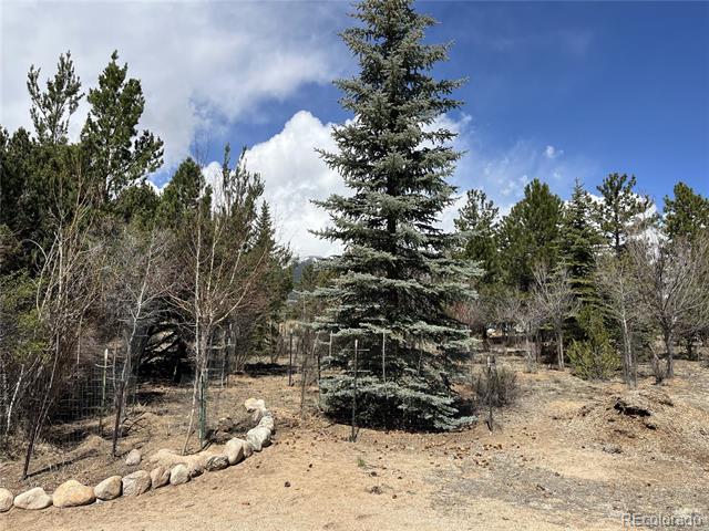 16700 County Road 363
