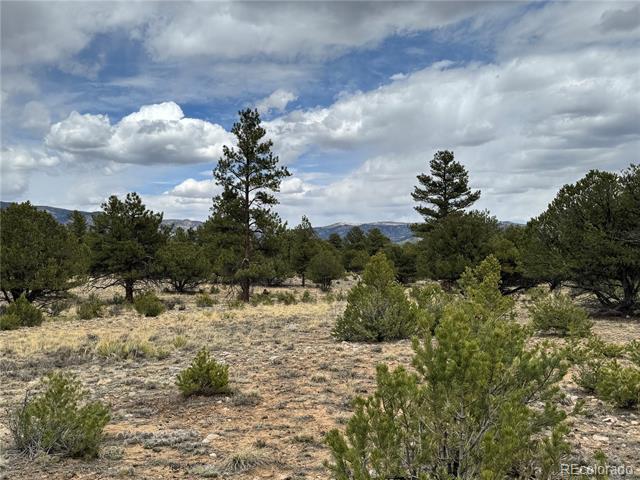 16700 County Road 363