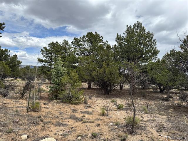 16700 County Road 363