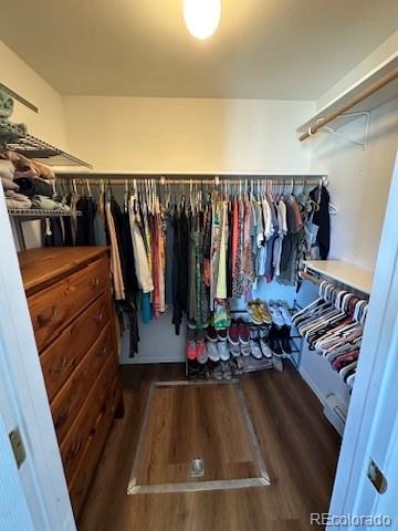 178 Larissa Lane