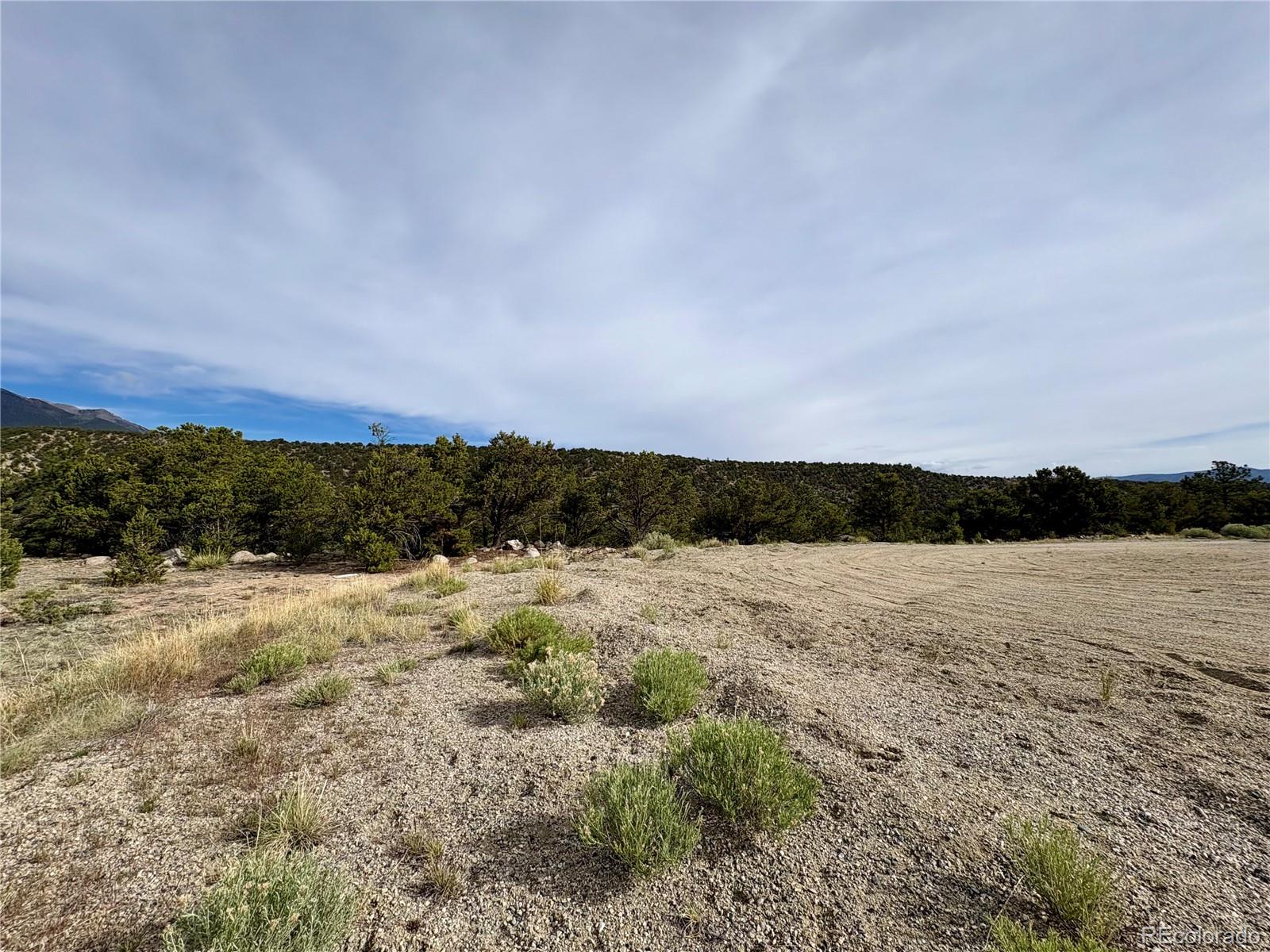 14973 Chalk Creek Drive
