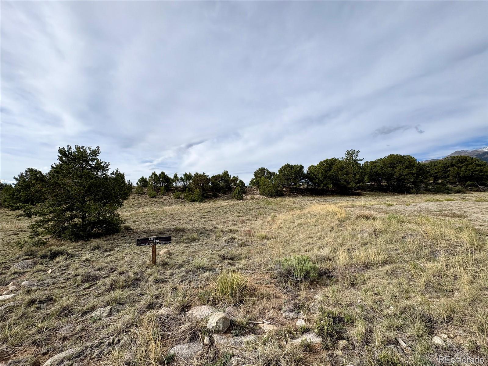14973 Chalk Creek Drive