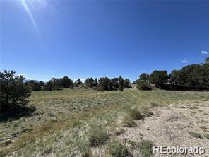 14973 Chalk Creek Drive