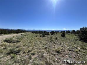 14973 Chalk Creek Drive