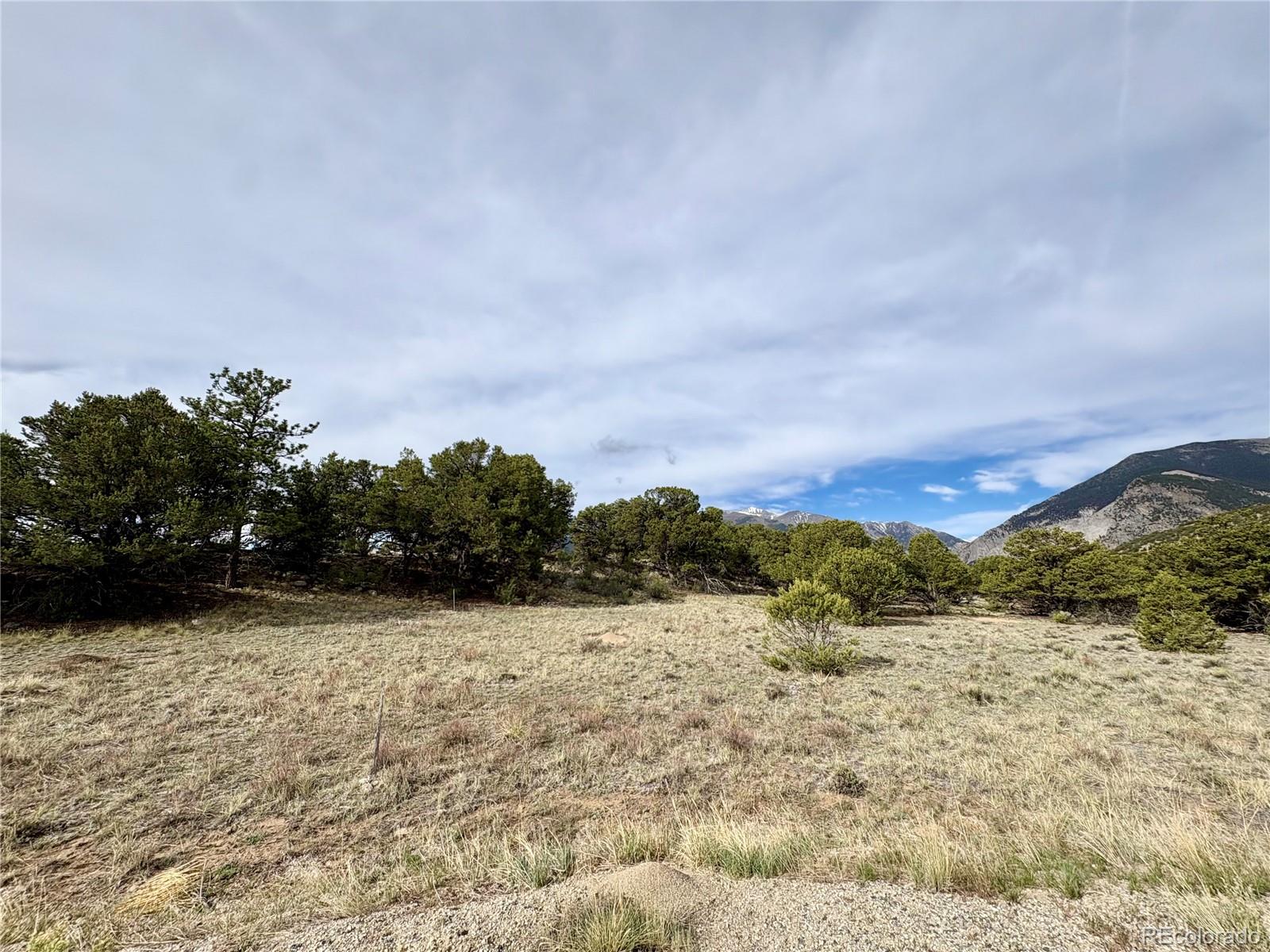 14973 Chalk Creek Drive