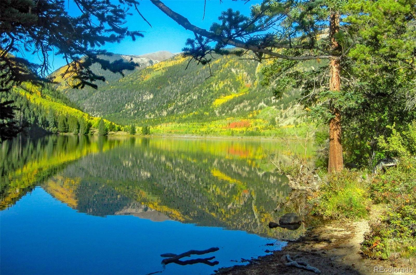 20601 County Road 306