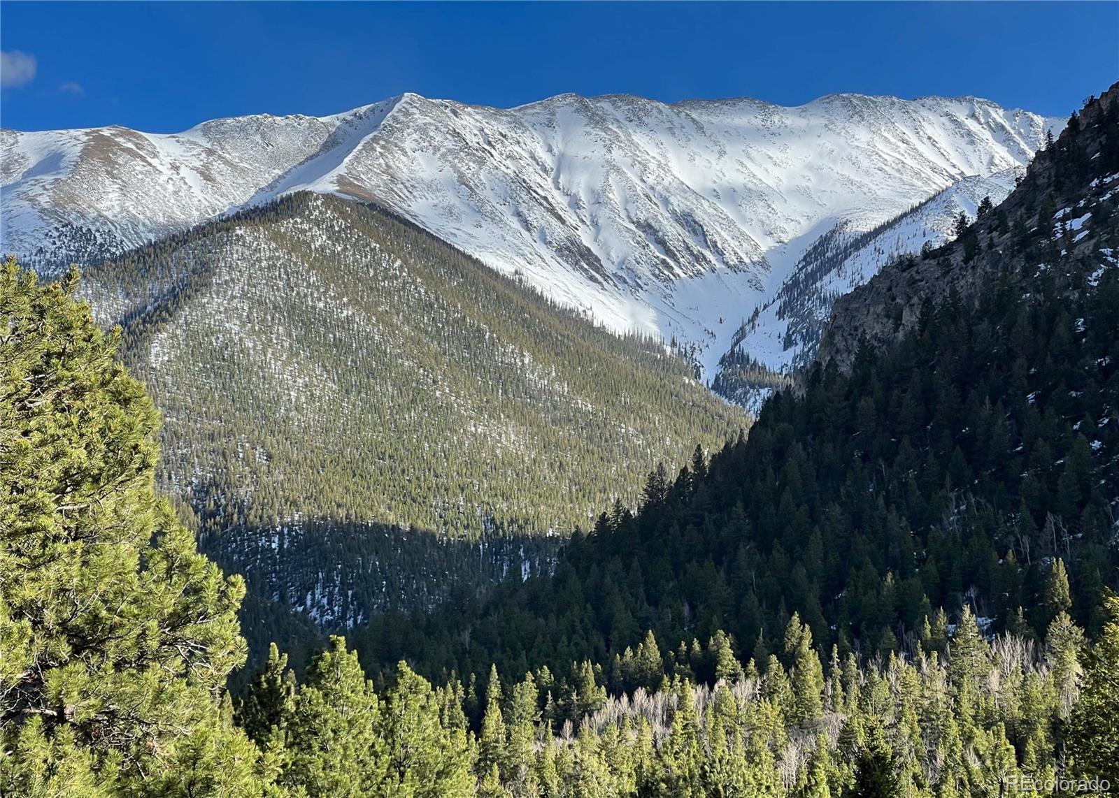 20601 County Road 306