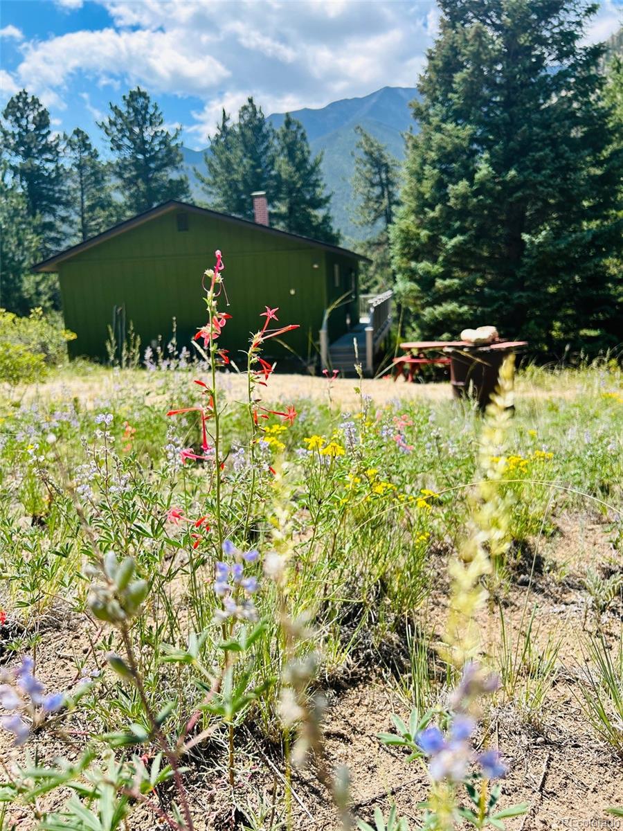 20601 County Road 306