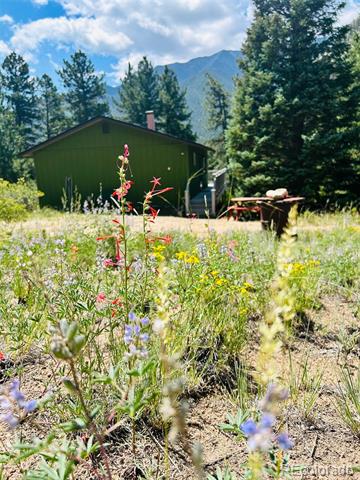 20601 County Road 306