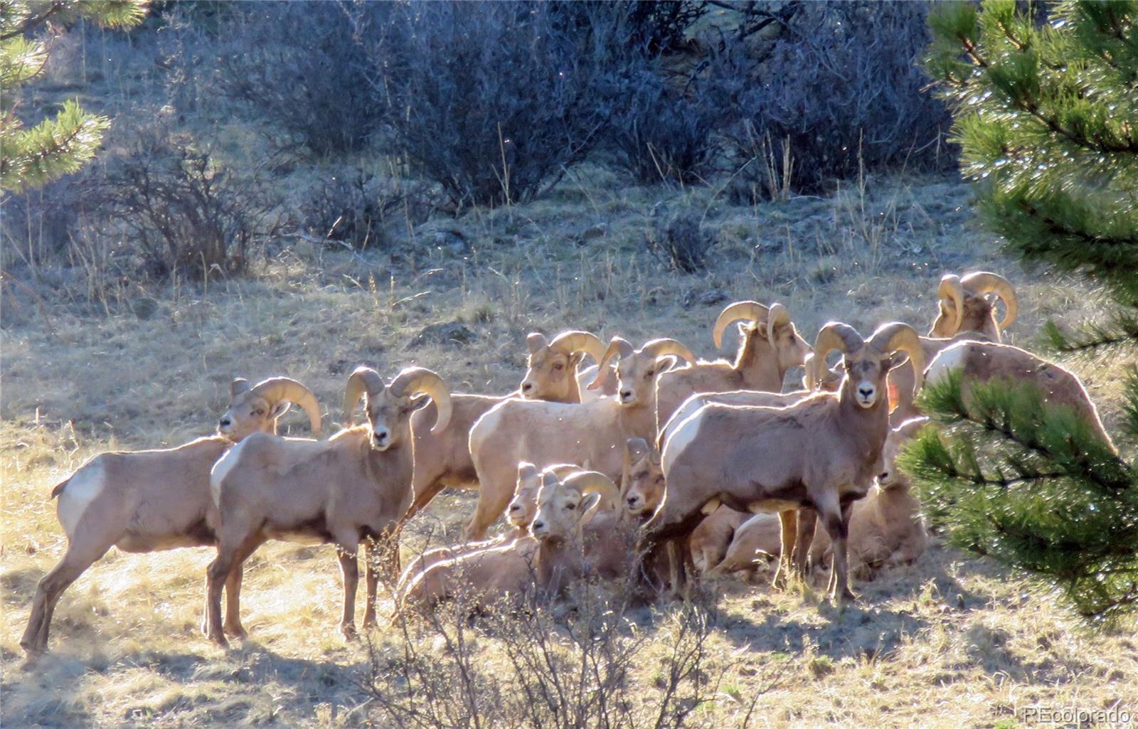 20601 County Road 306