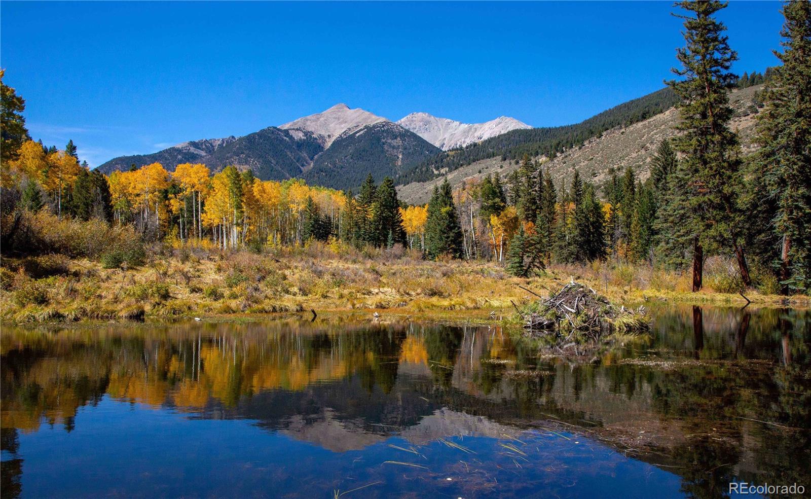 20601 County Road 306