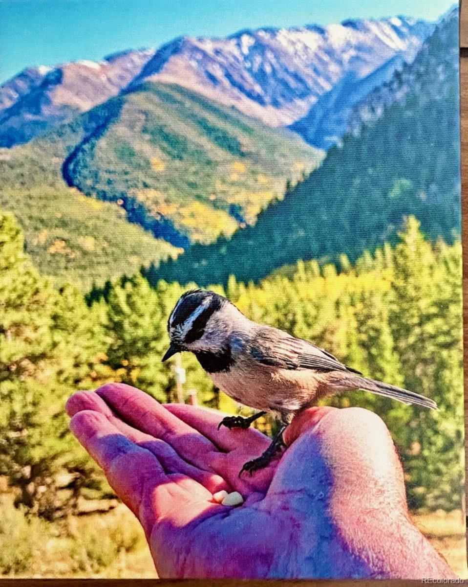 20601 County Road 306