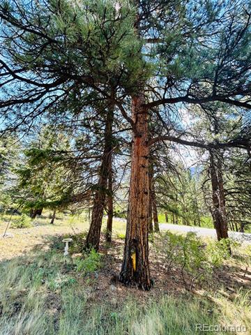 20601 County Road 306