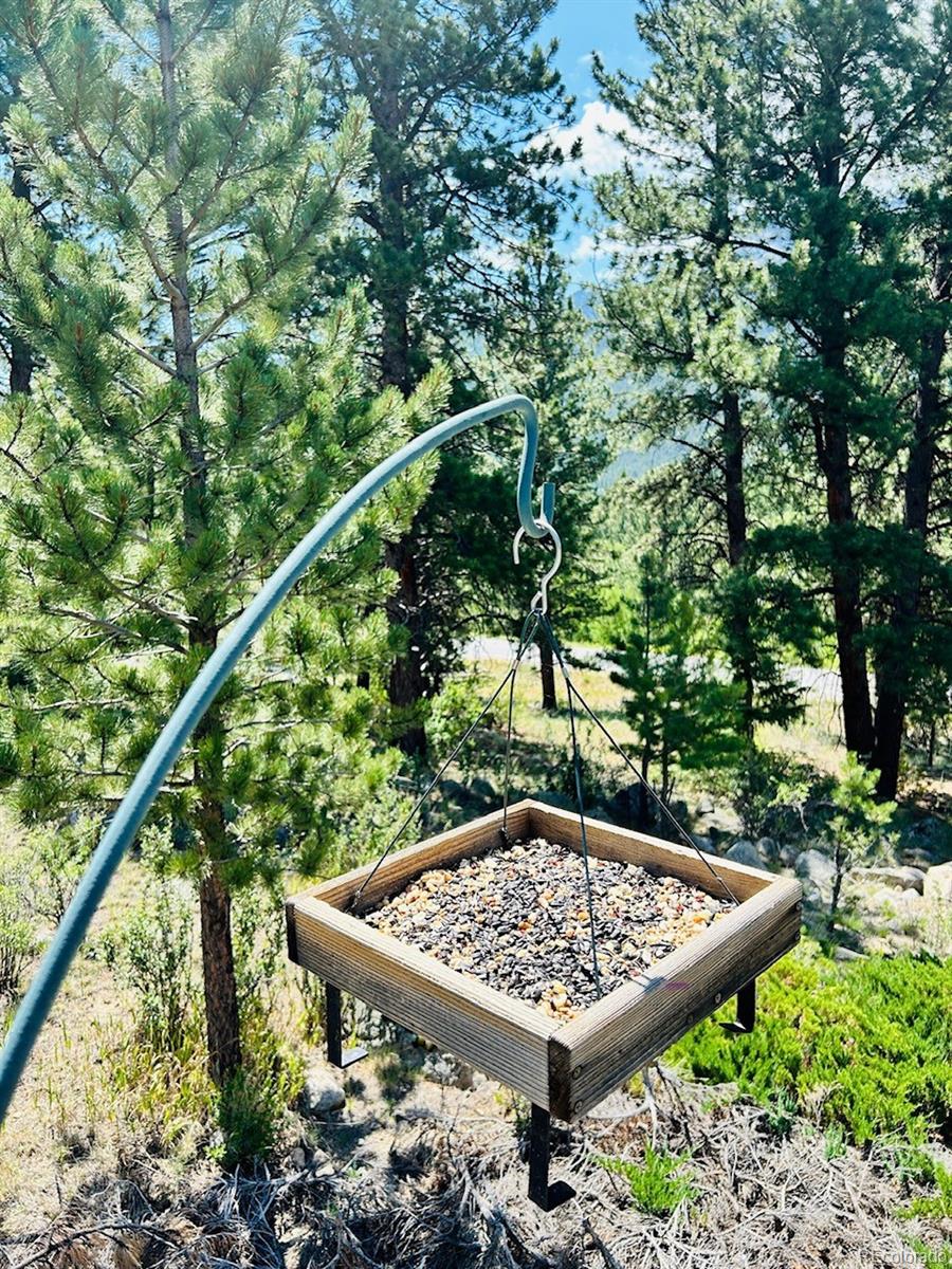 20601 County Road 306