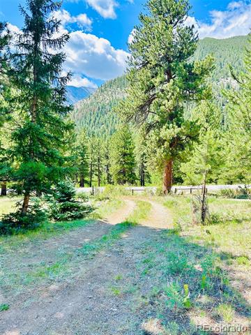 20601 County Road 306