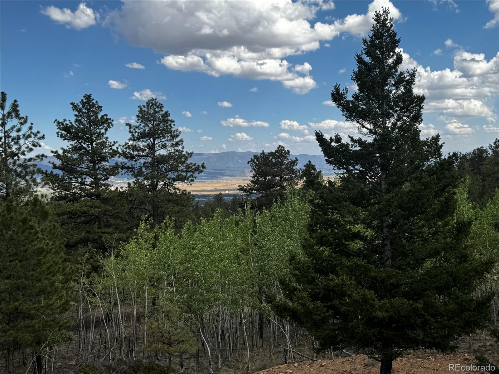 30220 Columbia Point