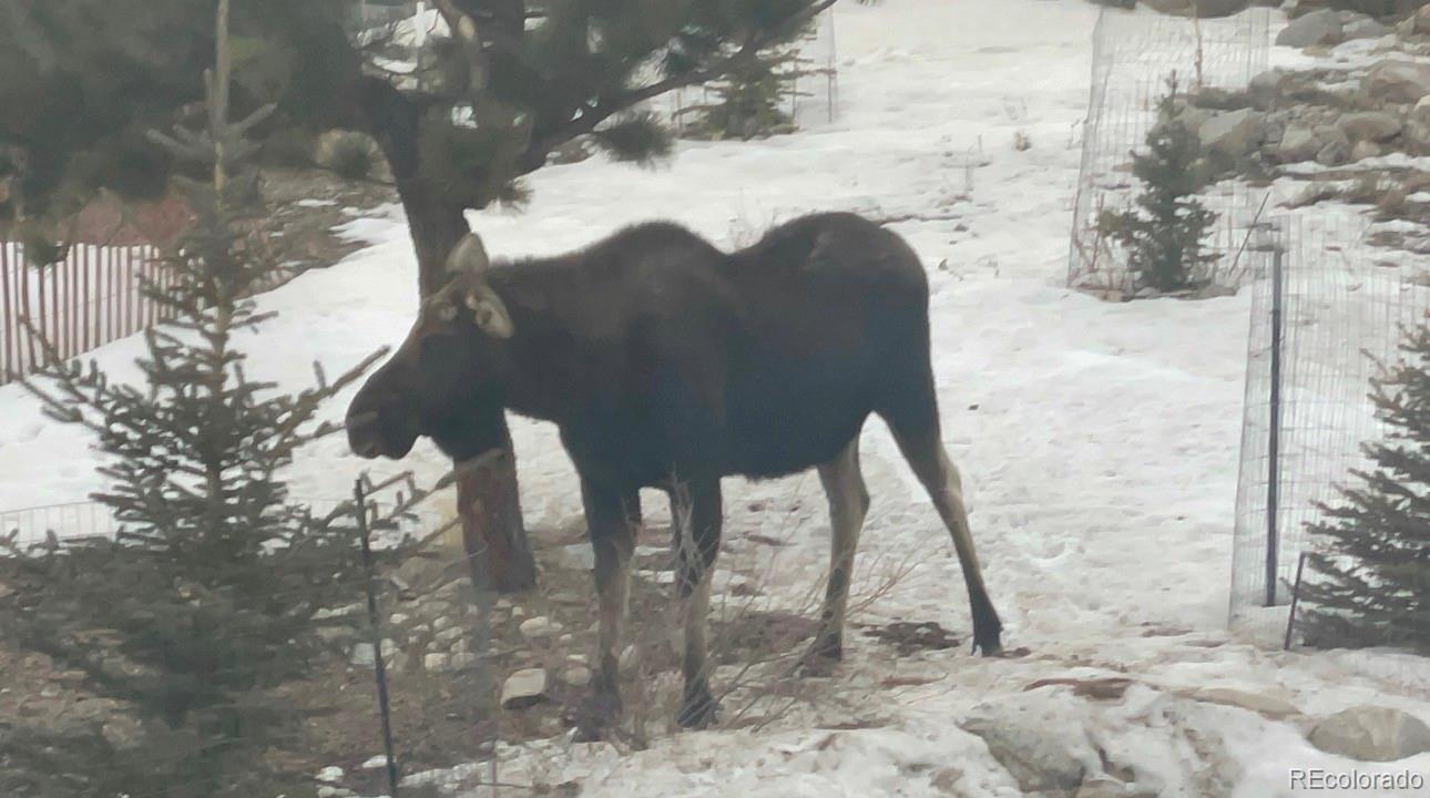 30220 Columbia Point