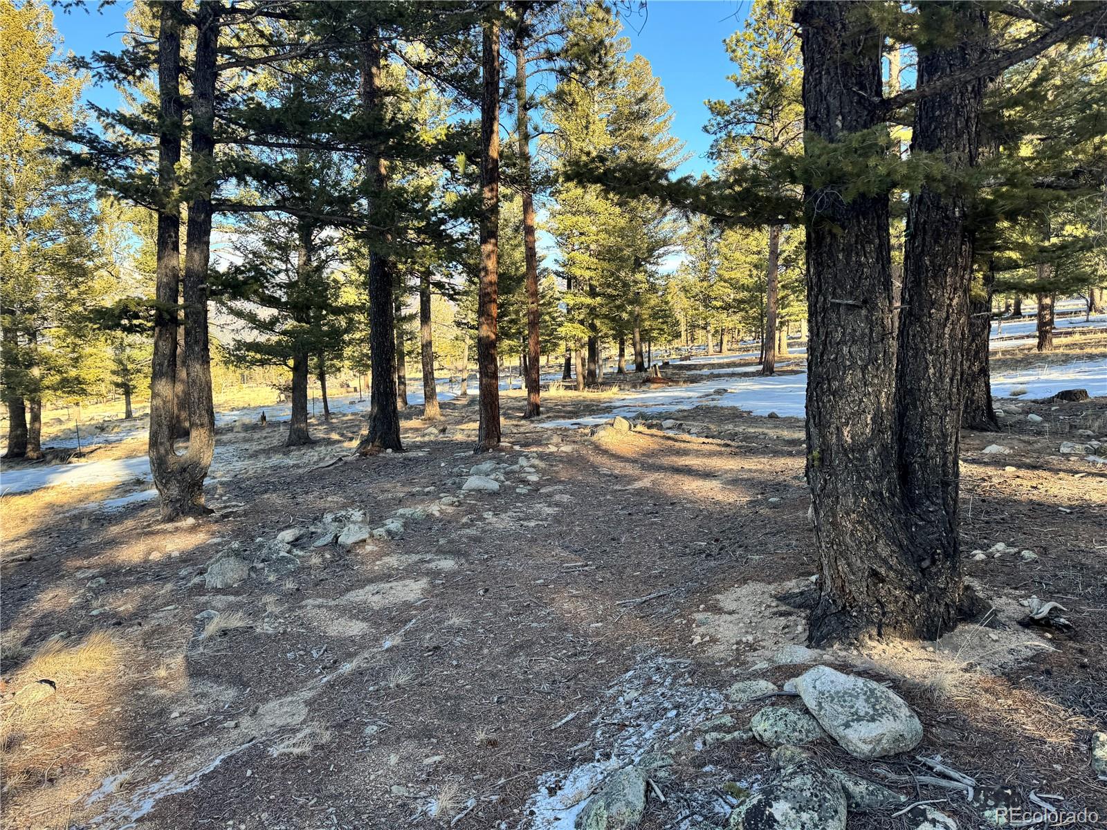 30470 Harvard Circle