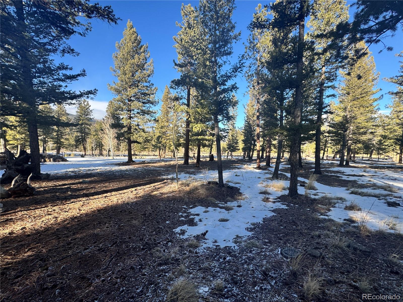 30470 Harvard Circle