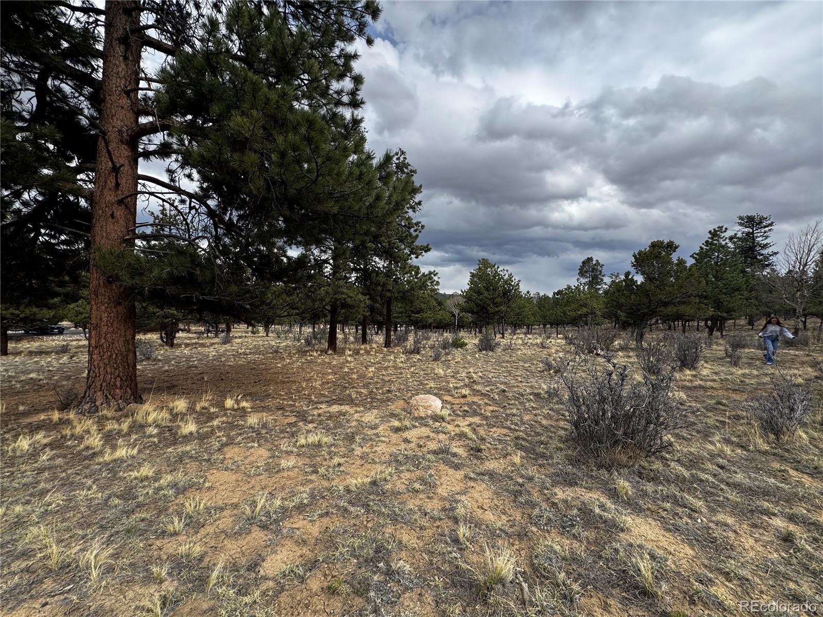 30583 Timberline Drive