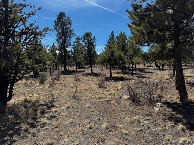 30583 Timberline Drive