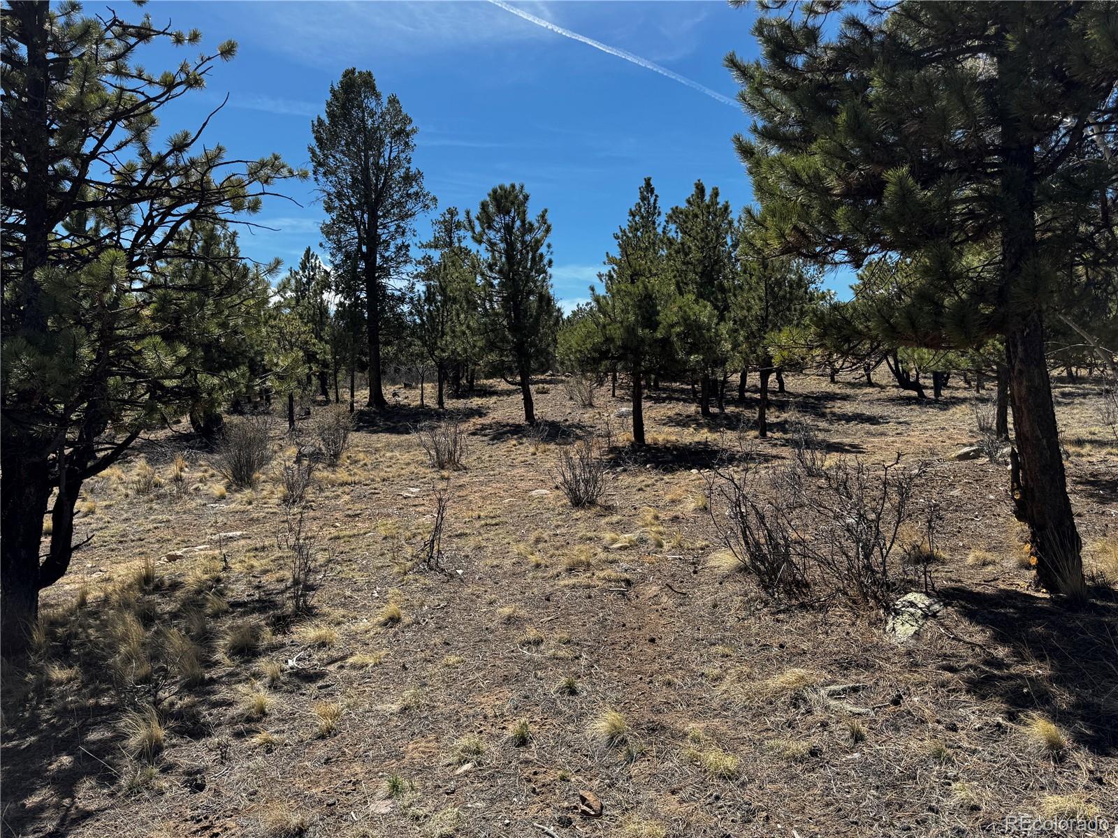 30583 Timberline Drive