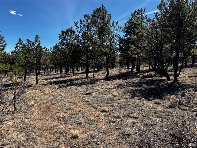 30583 Timberline Drive