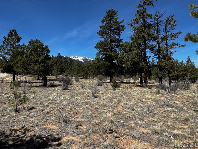 30583 Timberline Drive