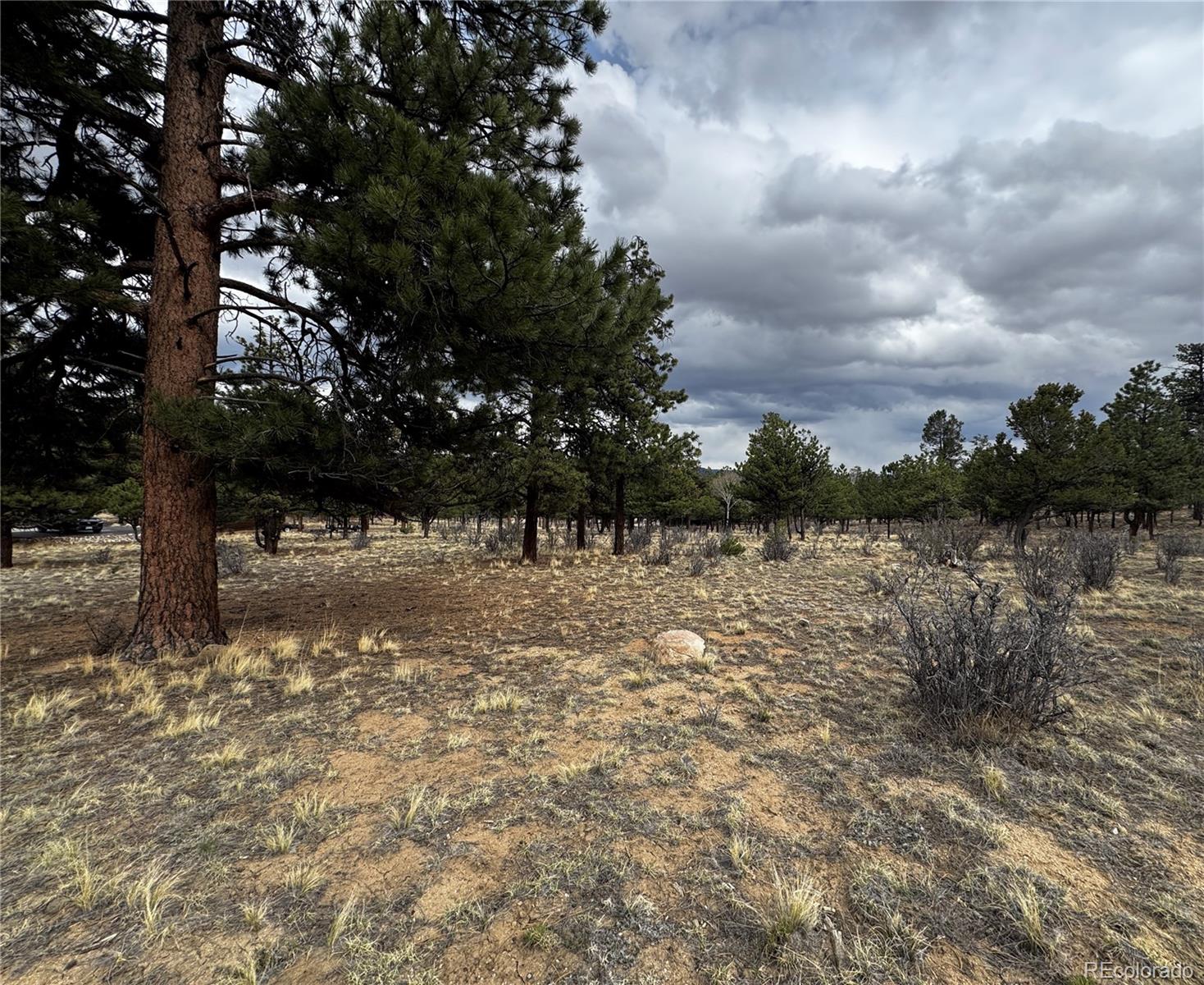 30583 Timberline Drive